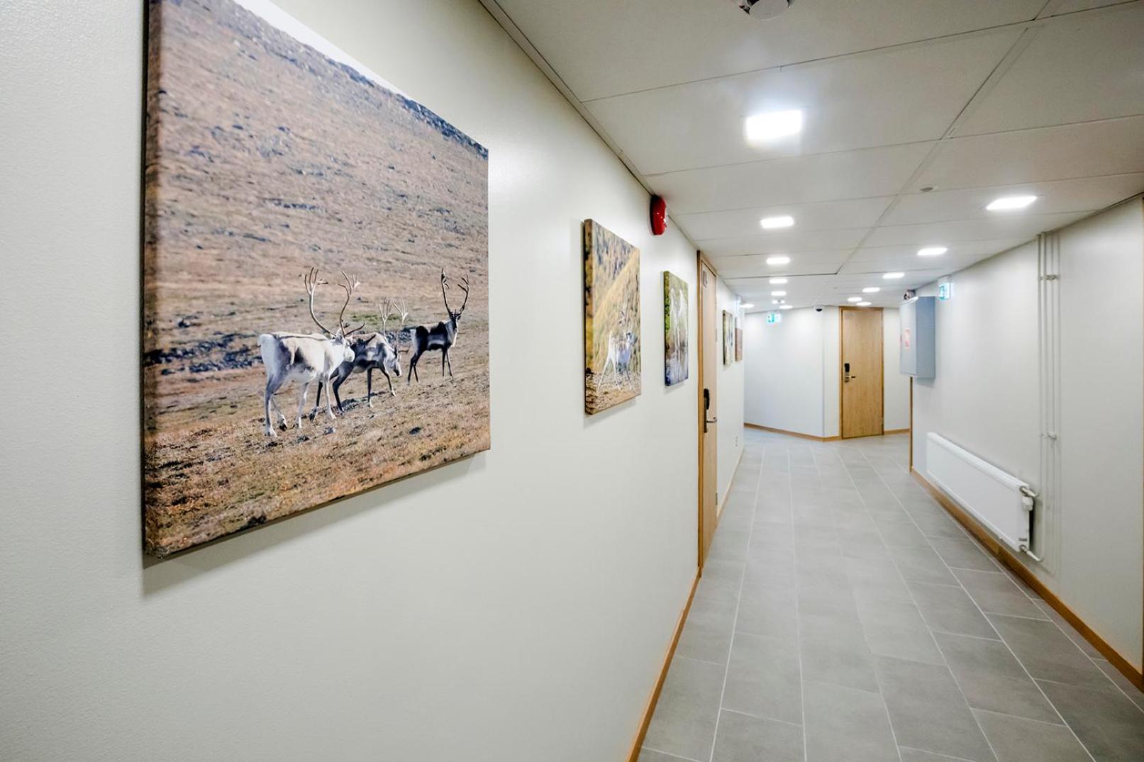 Hostel Toivola Кеми Екстериор снимка